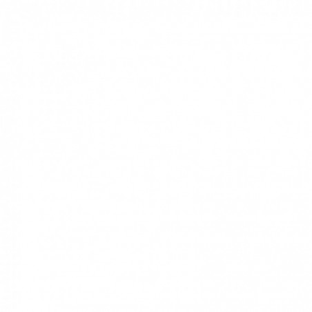 PIRELLI CINTURATO WINTER 2 XL 205/45 R17 88V