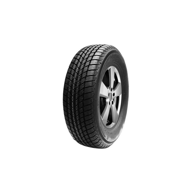 Mastersteel Winter + 205/55 R16 91H