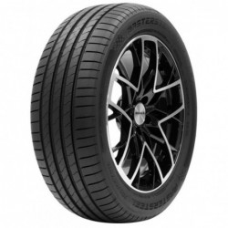 Mastersteel Prosport 2 205/55 R16 94W XL