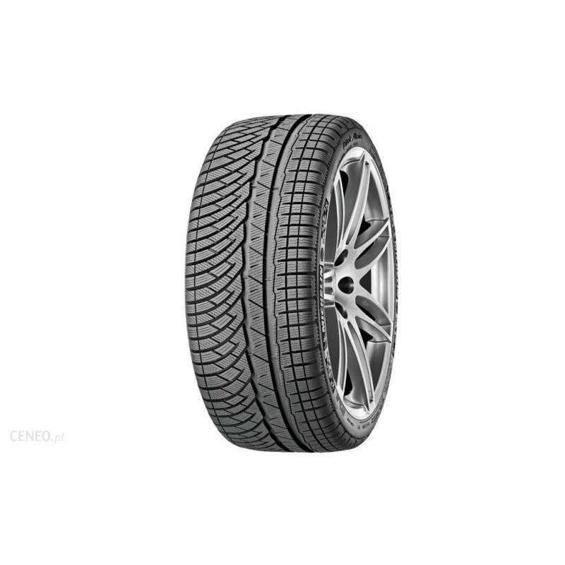 MICHELIN 295/3021 PILOT ALPIN PA4 XL FR 295/30 R21 102W
