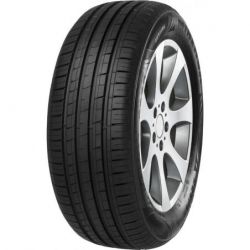 MINERVA F209 205/55 R16 91V