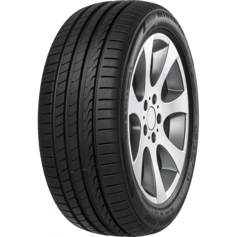 MINERVA F205 225/50 R17 94W