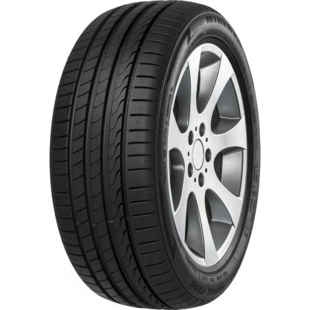 MINERVA F205 225/50 R17 94W