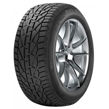 Taurus/Kormoran Winter 205/55 R17 95V XL
