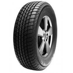 Mastersteel Winter + 225/55 R17 97H