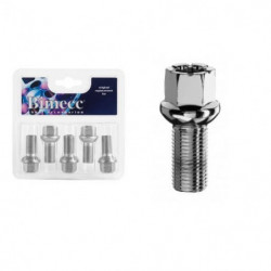 Bimecc Bolt YVWLS17A25F-Z M12x1.5x24.5 17 mm Hex R13 1 set