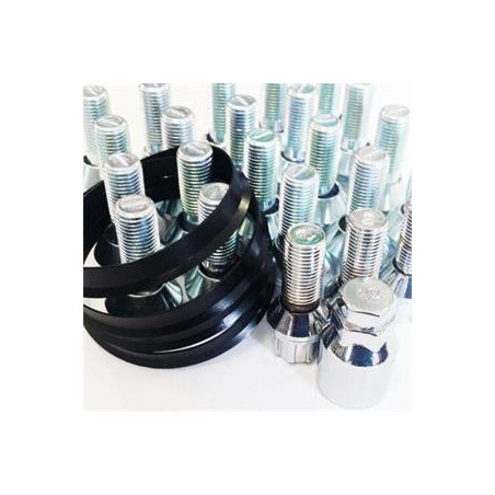 OZ Racing Disku Kits 20x Bolts M14x1.5x36 17mm Hex R12 (S17D36) + 4x rings 79.0/66.6 (790666) (81710536)