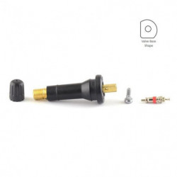 Valve for Schrader snap-In (x10) (SKA957)