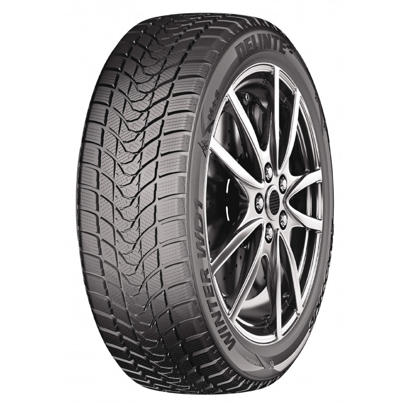 DELINTE WINTER WD1 XL 225/45 R17 94V