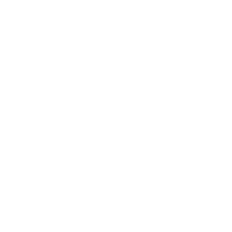 DUNLOP WINTER SPORT 5 XL FR 215/50 R17 95V