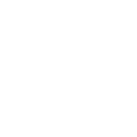 FIRESTONE VANHAWK WINTER 2 205/65 R16C 107T