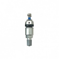 Autel Valve Silver Clamp-in with Screw (309122)