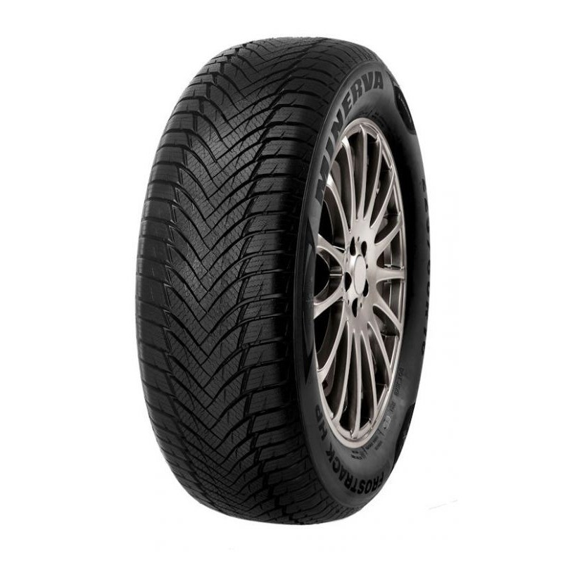 Minerva Frostrack HP 205/60 R15 91H